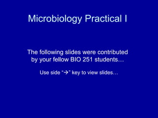 Microbiology Practical I
The following slides were contributed
by your fellow BIO 251 students…
Use side “” key to view slides…
 