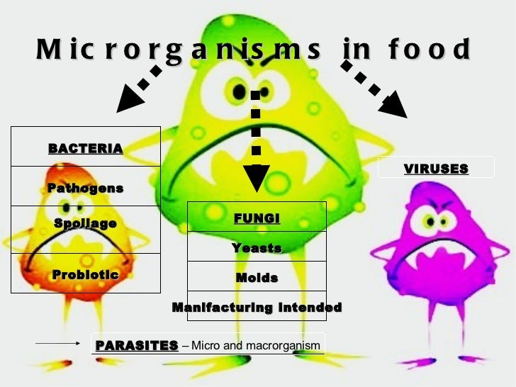 food spoilage dstrategies of prevention and new trends pathogenic bacteria in food