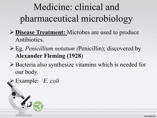 Medicine: clinical and
pharmaceutical microbiology
 Disease Treatment: Microbes are used to produce
Antibiotics.
 Eg. Penicillium notatum (Penicillin); discovered by
Alexander Fleming (1928)
 Bacteria also synthesize vitamins which is needed for
our body.
 Example: E. coli
 