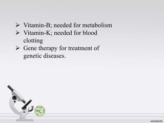  Vitamin-B; needed for metabolism
 Vitamin-K; needed for blood
clotting
 Gene therapy for treatment of
genetic diseases.
 