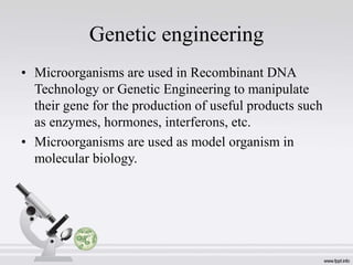 Genetic engineering
• Microorganisms are used in Recombinant DNA
Technology or Genetic Engineering to manipulate
their gene for the production of useful products such
as enzymes, hormones, interferons, etc.
• Microorganisms are used as model organism in
molecular biology.
 