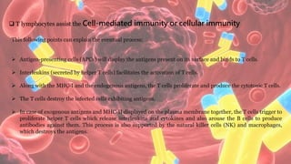  T lymphocytes assist the Cell-mediated immunity or cellular immunity
This following points can explain the eventual process:
 Antigen-presenting cells (APCs) will display the antigens present on its surface and binds to T cells.
 Interleukins (secreted by helper T cells) facilitates the activation of T cells.
 Along with the MHC-I and the endogenous antigens, the T cells proliferate and produce the cytotoxic T cells.
 The T cells destroy the infected cells exhibiting antigens.
 In case of exogenous antigens and MHC-II displayed on the plasma membrane together, the T cells trigger to
proliferate helper T cells which release interleukins and cytokines and also arouse the B cells to produce
antibodies against them. This process is also supported by the natural killer cells (NK) and macrophages,
which destroys the antigens.
 