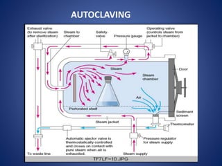 Viruses, Bacteria & their Control Methods | PPTX