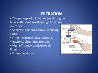 Viruses, Bacteria & their Control Methods | PPTX