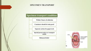 SPECIMEN TRANSPORT
Specimen transport condition
Within 2 hours of collection
Containers should be leak-proof
Separate section for paperwork
Special preservatives or transport
media
Biohazard label
 