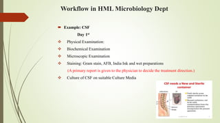 Workflow in HML Microbiology Dept
 Example: CSF
Day 1st
 Physical Examination:
 Biochemical Examination
 Microscopic Examination
 Staining: Gram stain, AFB, India Ink and wet preparations
(A primary report is given to the physician to decide the treatment direction.)
 Culture of CSF on suitable Culture Media
 