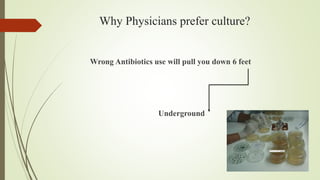 Why Physicians prefer culture?
Wrong Antibiotics use will pull you down 6 feet
Underground
 