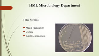 HML Microbiology Department
Three Sections
 Media Preparation
 Culture
 Waste Management
 