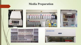 Media Preparation
 