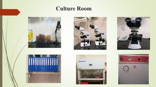 Culture Room
 