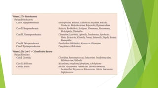 Bacterial morphology and classification.pptx