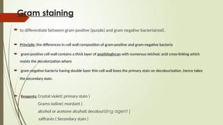 Gram staining
 to differentiate between gram positive (purple) and gram negative bacteria(red).
 Principle: the differences in cell wall composition of gram-positive and gram-negative bacteria
 gram-positive cell wall contains a thick layer of peptidoglycan with numerous teichoic acid cross-linking which
resists the decolorization where
 gram negative bacteria having double layer thin cell wall loses the primary stain on decolourization ,hence takes
the secondary stain.
 Reagents: Crystal violet( primary stain )
Grams iodine( mordant )
alcohol or acetone alcohol( decolourizing agent )
saffranin ( Secondary stain )
 