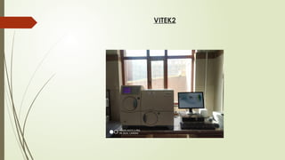 VITEK2
 