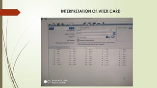 INTERPRETATION OF VITEK CARD
 
