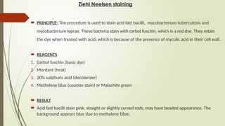 Ziehl Neelsen staining
 PRINCIPLE- The procedure is used to stain acid fast bacilli, mycobacterium tuberculosis and
mycobacterium leprae. These bacteria stain with carbol fuschin, which is a red dye. They retain
the dye when treated with acid, which is because of the presence of mycolic acid in their cell wall.
 REAGENTS
1. Carbol fuschin (basic dye)
2. Mordant (heat)
3. 20% sulphuric acid (decolorizer)
4. Methylene blue (counter stain) or Malachite green
 RESULT
 Acid fast bacilli stain pink, straight or slightly curved rods, may have beaded appearance. The
background appears blue due to methylene blue.
 