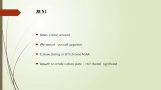 URINE
 Gross- colour, amount
 Wet mount –pus cell ,organism
 Culture plating on UTI chrome AGAR
 Growth on whole culture plate - >105
cfu/ml- significant
 