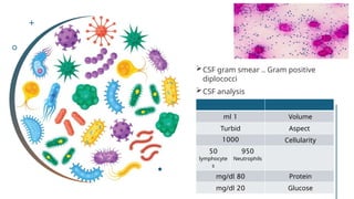 Microbiology Labratory Tests report.pptx