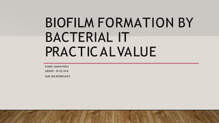 BIOFILM FORMATION BY
BACTERIAL IT
PRACTICALVALUE
N AME:- SAMIA HEN A
GROUP:- XF-22-10-B
SUB:- MICROBIOLOGY
 
