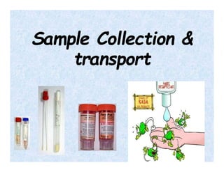 Sample Collection Training microbiology_sample_collection.pptx