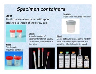 Multiple Specimen Containers microbiology_sample_collection.pptx