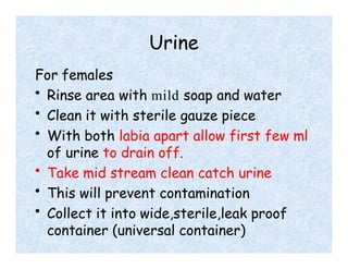 Urine
For females
• Rinse area with mild soap and water
• Clean it with sterile gauze piece
• With both labia apart allow first few ml
of urine to drain off.
• Take mid stream clean catch urine
• This will prevent contamination
• Collect it into wide,sterile,leak proof
container (universal container)
 