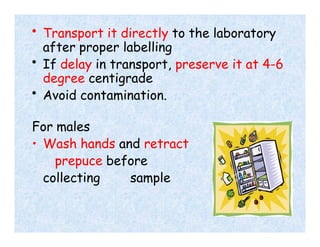 • Transport it directly to the laboratory
after proper labelling
• If delay in transport, preserve it at 4-6
degree centigrade
• Avoid contamination.
For males
• Wash hands and retract
prepuce before
collecting sample
 