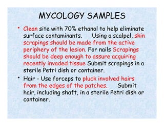 MYCOLOGY SAMPLES
• Clean site with 70% ethanol to help eliminate
surface contaminants. Using a scalpel, skin
scrapings should be made from the active
periphery of the lesion. For nails Scrapings
should be deep enough to assure acquiring
recently invaded tissue Submit scrapings in a
sterile Petri dish or container.
• Hair - Use forceps to pluck involved hairs
from the edges of the patches. Submit
hair, including shaft, in a sterile Petri dish or
container.
 