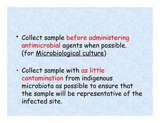 • Collect sample before administering
antimicrobial agents when possible.
(for Microbiological culture)
• Collect sample with as little
contamination from indigenous
microbiota as possible to ensure that
the sample will be representative of the
infected site.
 