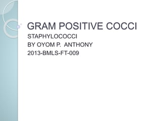 GRAM POSITIVE COCCI
STAPHYLOCOCCI
BY OYOM P. ANTHONY
2013-BMLS-FT-009
 