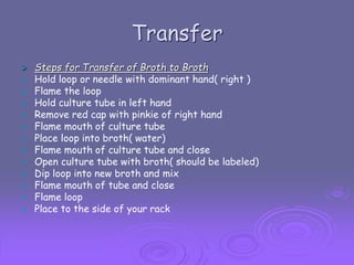 Transfer

















Steps for Transfer of Broth to Broth
Hold loop or needle with dominant hand( right )
Flame the loop
Hold culture tube in left hand
Remove red cap with pinkie of right hand
Flame mouth of culture tube
Place loop into broth( water)
Flame mouth of culture tube and close
Open culture tube with broth( should be labeled)
Dip loop into new broth and mix
Flame mouth of tube and close
Flame loop
Place to the side of your rack

 
