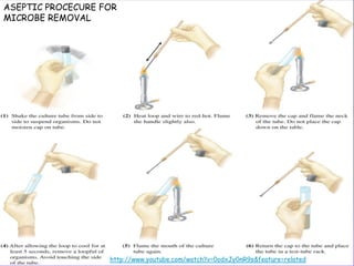 ASEPTIC PROCECURE FOR
MICROBE REMOVAL

http://www.youtube.com/watch?v=0odxJy0nR9s&feature=related

 