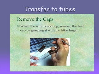 Transfer to tubes

 