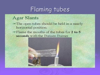 Flaming tubes

 