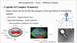 Viruses: Structure, Classification, and Replication | PDF