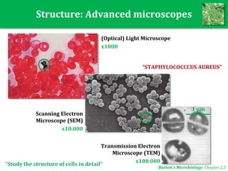 Structure: Advanced microscopes
(Optical) Light Microscope
x1000
Scanning Electron
Microscope (SEM)
x10.000
Transmission Electron
Microscope (TEM)
x100.000
1 μm
“STAPHYLOCOCCCUS AUREUS”
Burton’s Microbiology: Chapter 2,3
“Study the structure of cells in detail”
 