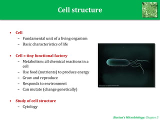 Cell structure
Burton’s Microbiology: Chapter 3
• Cell
– Fundamental unit of a living organism
– Basic characteristics of life
• Cell = tiny functional factory
– Metabolism: all chemical reactions in a
cell
– Use food (nutrients) to produce energy
– Grow and reproduce
– Responds to environment
– Can mutate (change genetically)
• Study of cell structure
– Cytology
 