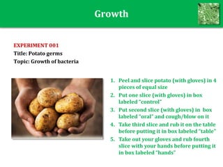 Growth
EXPERIMENT 001
Title: Potato germs
Topic: Growth of bacteria
1. Peel and slice potato (with gloves) in 4
pieces of equal size
2. Put one slice (with gloves) in box
labeled “control”
3. Put second slice (with gloves) in box
labeled “oral” and cough/blow on it
4. Take third slice and rub it on the table
before putting it in box labeled “table”
5. Take out your gloves and rub fourth
slice with your hands before putting it
in box labeled “hands”
 