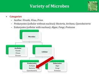 Variety of Microbes
• Categories
– Acellar: Viroids, Virus, Prion
– Prokaryotes (cellular without nucleus): Bacteria, Archaea, Cyanobacteria
– Eukaryotes (cellular with nucleus): Algae, Fungi, Protozoa
Microbes
Acellular
Viroids
Prions
Virusus
Cellular
Prokaryotes
Archaea
Bacteria
Cyanobacteria
Eukaryotes
Algae
Fungi
Protozoa
 