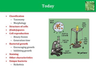 Today
• Classification
– Taxonomy
– Morphology
• Structure of cells
• (Endo)spores
• Cell reproduction
– Binary fission
– Generation time
• Bacterial growth
– Encouraging growth
– Inhibiting growth
• Staining
• Other characteristics
• Unique bacteria
– Rickettsia
 