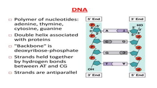 GBSN - Microbiology (Unit 2) Microbial genetics | PPTX