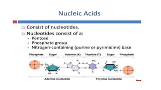 GBSN - Microbiology (Unit 2) Microbial genetics | PPTX