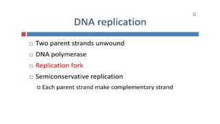 GBSN - Microbiology (Unit 2) Microbial genetics | PPTX