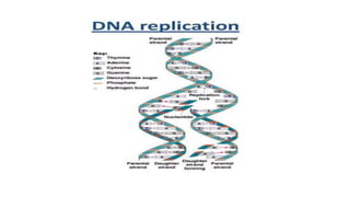 GBSN - Microbiology (Unit 2) Microbial genetics | PPTX