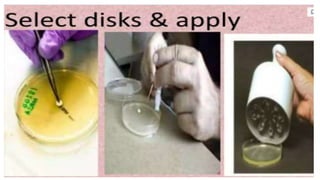 GBSN - Microbiology (Unit 2) Susceptibility of Microbial agents | PPTX