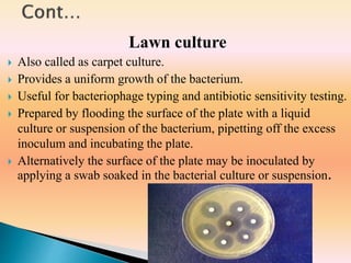 Lawn culture
 Also called as carpet culture.
 Provides a uniform growth of the bacterium.
 Useful for bacteriophage typing and antibiotic sensitivity testing.
 Prepared by flooding the surface of the plate with a liquid
culture or suspension of the bacterium, pipetting off the excess
inoculum and incubating the plate.
 Alternatively the surface of the plate may be inoculated by
applying a swab soaked in the bacterial culture or suspension.
 