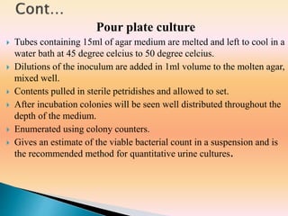 Pour plate culture
 Tubes containing 15ml of agar medium are melted and left to cool in a
water bath at 45 degree celcius to 50 degree celcius.
 Dilutions of the inoculum are added in 1ml volume to the molten agar,
mixed well.
 Contents pulled in sterile petridishes and allowed to set.
 After incubation colonies will be seen well distributed throughout the
depth of the medium.
 Enumerated using colony counters.
 Gives an estimate of the viable bacterial count in a suspension and is
the recommended method for quantitative urine cultures.
 