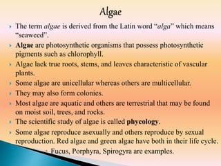  The term algae is derived from the Latin word “alga” which means
“seaweed”.
 Algae are photosynthetic organisms that possess photosynthetic
pigments such as chlorophyll.
 Algae lack true roots, stems, and leaves characteristic of vascular
plants.
 Some algae are unicellular whereas others are multicellular.
 They may also form colonies.
 Most algae are aquatic and others are terrestrial that may be found
on moist soil, trees, and rocks.
 The scientific study of algae is called phycology.
 Some algae reproduce asexually and others reproduce by sexual
reproduction. Red algae and green algae have both in their life cycle.
 Fucus, Porphyra, Spirogyra are examples.
 