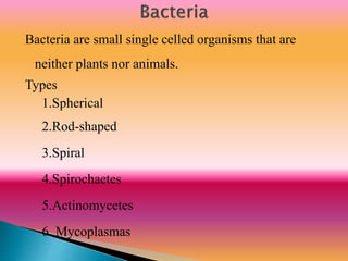 Bacteria are small single celled organisms that are
neither plants nor animals.
Types
1.Spherical
2.Rod-shaped
3.Spiral
4.Spirochaetes
5.Actinomycetes
6. Mycoplasmas
 