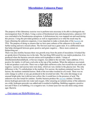 Microbiology Unknown Paper
The purpose of this laboratory exercise was to perform tests necessary to be able to distinguish one
microorganism from 10 others. Using a series of biochemical tests and characteristics, unknown #22
was concluded to be Pseudomonas aeruginosa. A dichotomous key was mapped out and used during
this process. Using this provided guidance as well as organization as to what the result may be.
Upon obtaining the unknown organism, it was important to make a streak plate of the bacteria on
TSA. The purpose of doing so ensures that we have pure cultures of the unknown to be used in
further testing and not a mixed culture. The first test used was a gram stain. It is a differential stain
that helps distinguish between gram–positive and gram–negative ... Show more content on
Helpwriting.net ...
There was also motility because there was growth away from the point of inoculation. It looked like
an upside down Christmas tree in the tube. The last thing SIM tested for was indole production. It is
produced when the bacteria converts amino acid tryptophan to indole. 5 drops of
dimethylaminobenzaldehyde, or Kovacs reagent, was added to the test tube. Upon addition, if it is
positive for indole, it will turn a red color at the top of the medium. When the unknown was tested,
it did not produce a red color. There was a slight dark red/brown color, but overall the test result was
negative. Lactose and sucrose tests were done, which are very similar to the glucose test. The only
difference is the 1% carbohydrate in the medium. For sucrose, the medium contained sucrose. For
lactose, the medium contained lactose. Both of the test tubes resulted in a K result. There was no
color change to yellow or any gas produced in the inverted test tube. The color did change to an
unusual bright pink, but it did not turn yellow like it would have in the presence of acid. The
unknown was also tested for catalase. Aerobic bacteria produce the enzyme catalase. It breaks
downs hydrogen peroxide into water and oxygen. After smearing an isolated colony of the unknown
on a slide, hydrogen peroxide was added and it resulted in bubbling. Bubbling suggests a positive
test and if there is no bubbling, it is a negative test. A citrate lyase test was also done using citrate
agar. Bacteria
... Get more on HelpWriting.net ...
 
