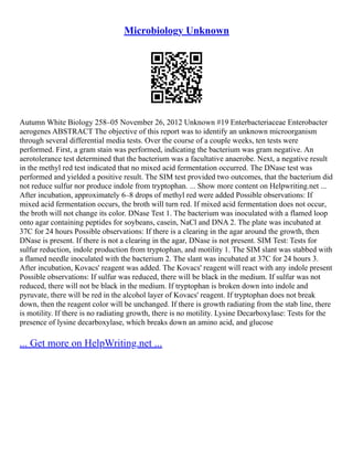 Microbiology Unknown
Autumn White Biology 258–05 November 26, 2012 Unknown #19 Enterbacteriaceae Enterobacter
aerogenes ABSTRACT The objective of this report was to identify an unknown microorganism
through several differential media tests. Over the course of a couple weeks, ten tests were
performed. First, a gram stain was performed, indicating the bacterium was gram negative. An
aerotolerance test determined that the bacterium was a facultative anaerobe. Next, a negative result
in the methyl red test indicated that no mixed acid fermentation occurred. The DNase test was
performed and yielded a positive result. The SIM test provided two outcomes, that the bacterium did
not reduce sulfur nor produce indole from tryptophan. ... Show more content on Helpwriting.net ...
After incubation, approximately 6–8 drops of methyl red were added Possible observations: If
mixed acid fermentation occurs, the broth will turn red. If mixed acid fermentation does not occur,
the broth will not change its color. DNase Test 1. The bacterium was inoculated with a flamed loop
onto agar containing peptides for soybeans, casein, NaCl and DNA 2. The plate was incubated at
37C for 24 hours Possible observations: If there is a clearing in the agar around the growth, then
DNase is present. If there is not a clearing in the agar, DNase is not present. SIM Test: Tests for
sulfur reduction, indole production from tryptophan, and motility 1. The SIM slant was stabbed with
a flamed needle inoculated with the bacterium 2. The slant was incubated at 37C for 24 hours 3.
After incubation, Kovacs' reagent was added. The Kovacs' reagent will react with any indole present
Possible observations: If sulfur was reduced, there will be black in the medium. If sulfur was not
reduced, there will not be black in the medium. If tryptophan is broken down into indole and
pyruvate, there will be red in the alcohol layer of Kovacs' reagent. If tryptophan does not break
down, then the reagent color will be unchanged. If there is growth radiating from the stab line, there
is motility. If there is no radiating growth, there is no motility. Lysine Decarboxylase: Tests for the
presence of lysine decarboxylase, which breaks down an amino acid, and glucose
... Get more on HelpWriting.net ...
 